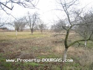 View of Houses For sale in Trastikovo