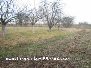 View of Houses For sale in Trastikovo