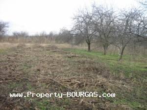 View of Houses For sale in Trastikovo