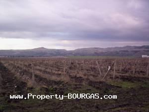 View of Land for sale, plots For sale in Aitos property