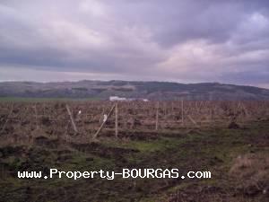 View of Land for sale, plots For sale in Aitos property