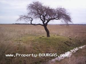 View of Land for sale, plots For sale in Karageorgievo