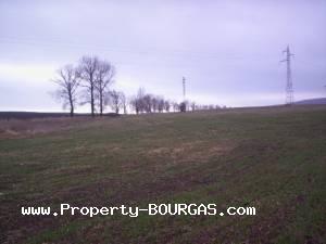 View of Land for sale, plots For sale in Pirne