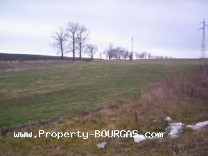 View of Land for sale, plots For sale in Pirne
