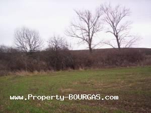 View of Land for sale, plots For sale in Pirne