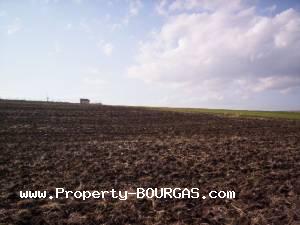 View of Land for sale, plots For sale in Pirne