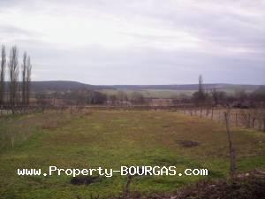View of Land for sale, plots For sale in Topolitsa