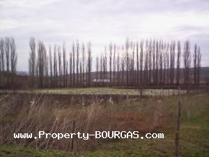 View of Land for sale, plots For sale in Topolitsa