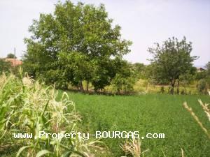 View of Houses For sale in Dryankovets