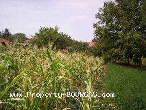 View of Houses For sale in Dryankovets