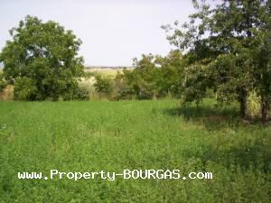 View of Houses For sale in Dryankovets