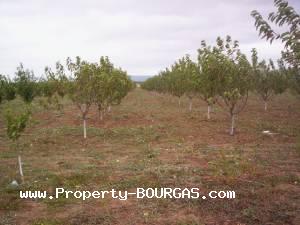 View of Land for sale, plots For sale in Pirne