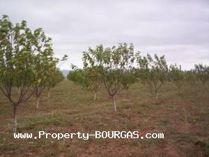 View of Land for sale, plots For sale in Pirne