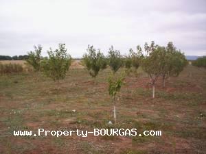 View of Land for sale, plots For sale in Pirne