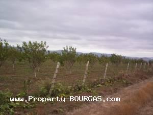View of Land for sale, plots For sale in Pirne