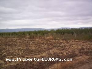 View of Land for sale, plots For sale in Pirne
