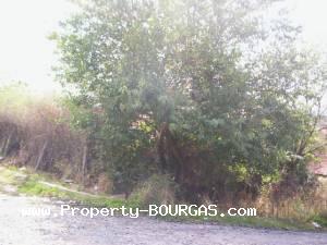View of Houses For sale in Sadievo