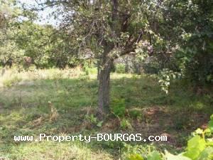 View of Land for sale, plots For sale in Sadievo