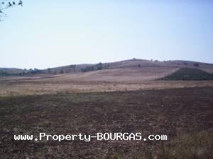 View of Land for sale, plots For sale in Dabnik