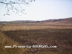 View of Land for sale, plots For sale in Dabnik