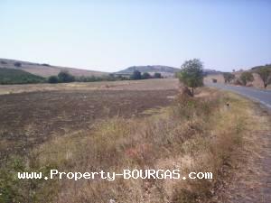 View of Land for sale, plots For sale in Dabnik