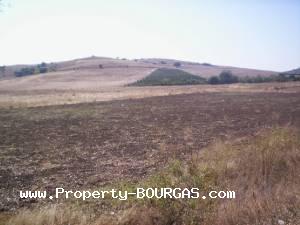 View of Land for sale, plots For sale in Dabnik