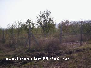 View of Land for sale, plots For sale in Polyanovo/Burgas/