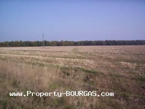 View of Land for sale, plots For sale in Chukarka