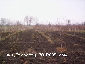 View of Land for sale, plots For sale in Polyanovo/Burgas/