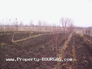 View of Land for sale, plots For sale in Polyanovo/Burgas/