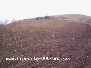 View of Land for sale, plots For sale in Polyanovo/Burgas/