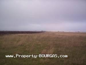 View of Land for sale, plots For sale in Pirne