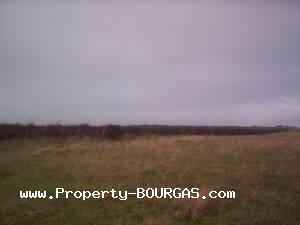 View of Land for sale, plots For sale in Pirne