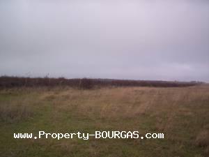 View of Land for sale, plots For sale in Pirne