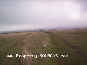View of Land for sale, plots For sale in Pirne