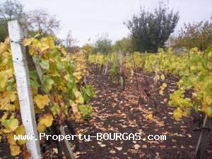 View of Land for sale, plots For sale in Balgarovo