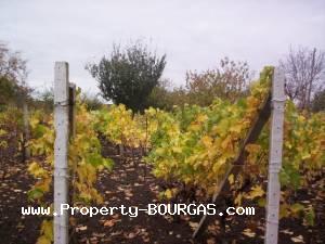View of Land for sale, plots For sale in Balgarovo