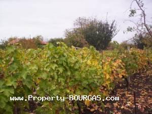View of Land for sale, plots For sale in Balgarovo