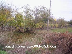 View of Land for sale, plots For sale in Balgarovo