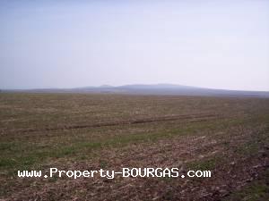 View of Land for sale, plots For sale in Pirne