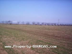 View of Land for sale, plots For sale in Pirne