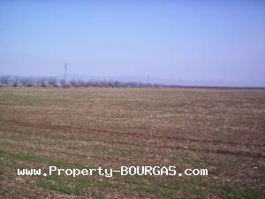 View of Land for sale, plots For sale in Pirne