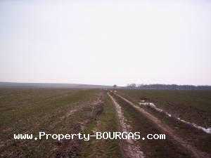 View of Land for sale, plots For sale in Pirne