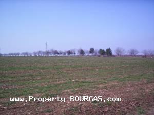 View of Land for sale, plots For sale in Pirne