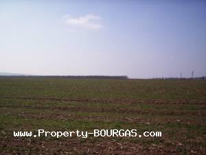 View of Land for sale, plots For sale in Pirne