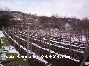 View of Land for sale, plots For sale in Liaskovo