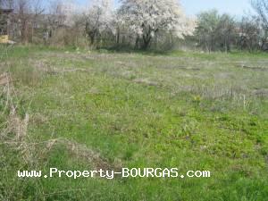 View of Land for sale, plots For sale in Trastikovo