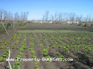 View of Houses For sale in Krastina