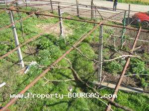 View of Houses For sale in Novo Panicharevo