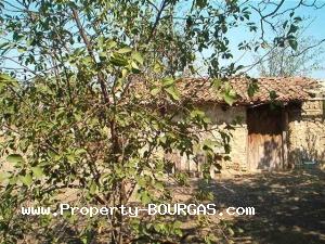 View of Houses For sale in Asparuhovo
